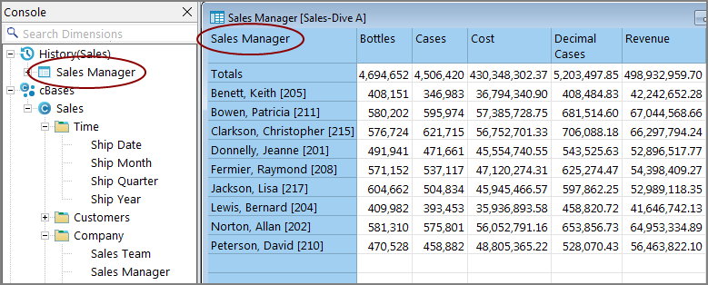 Console and dive window showing a dive on Sales Manager.